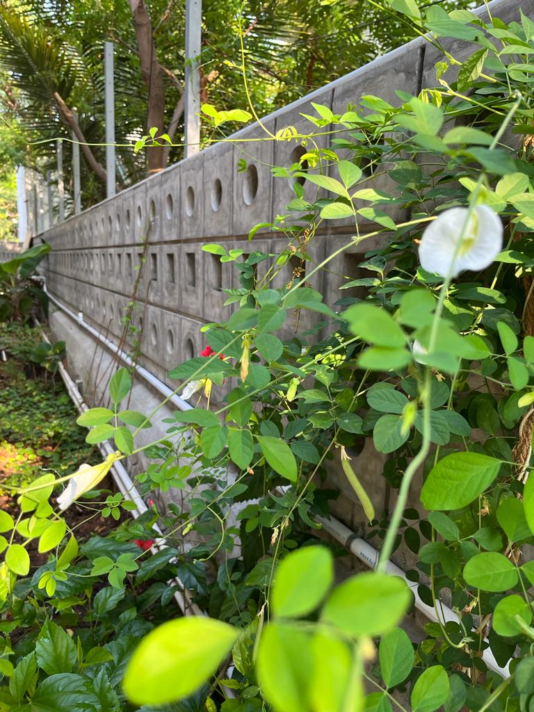 PHOTO-2023-07-12-21-53-22 3