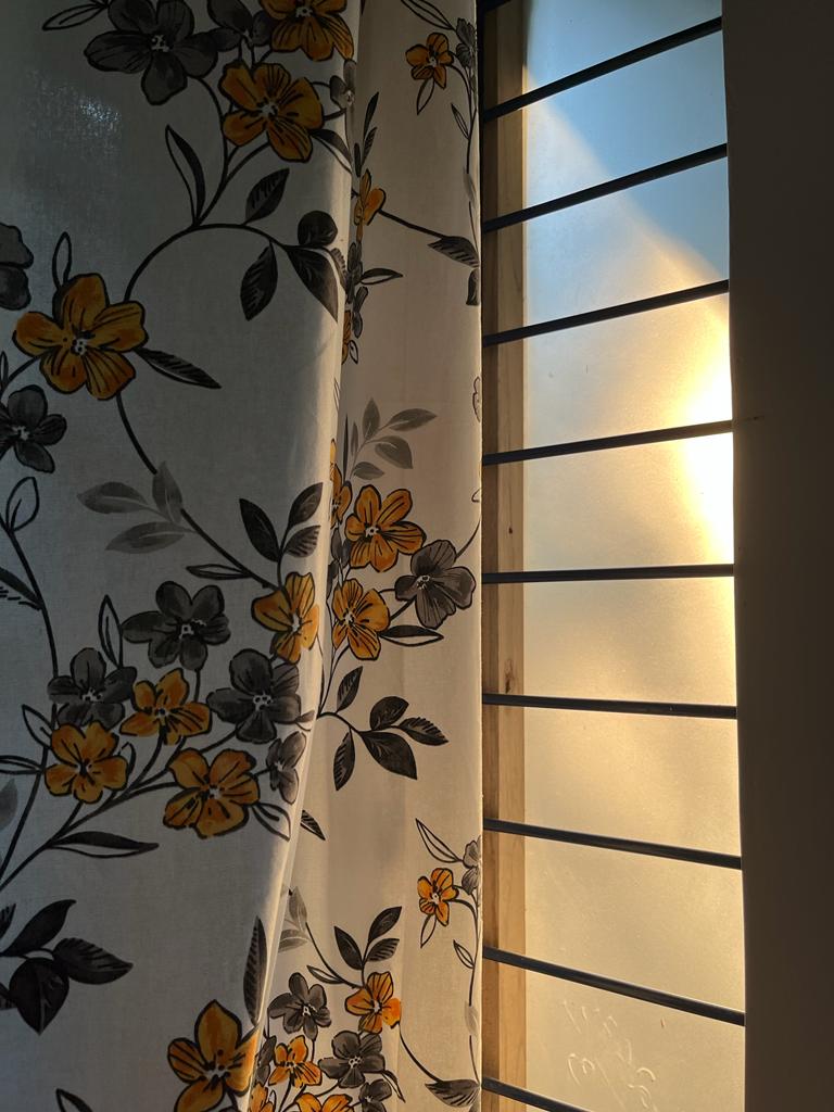 PHOTO-2023-07-12-21-53-24 2